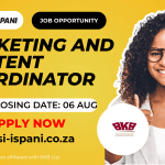 Marketing and Content Coordinator Job at BKB Ltd