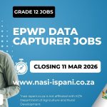 EPWP Data Capturer Jobs: 80 Posts Available!